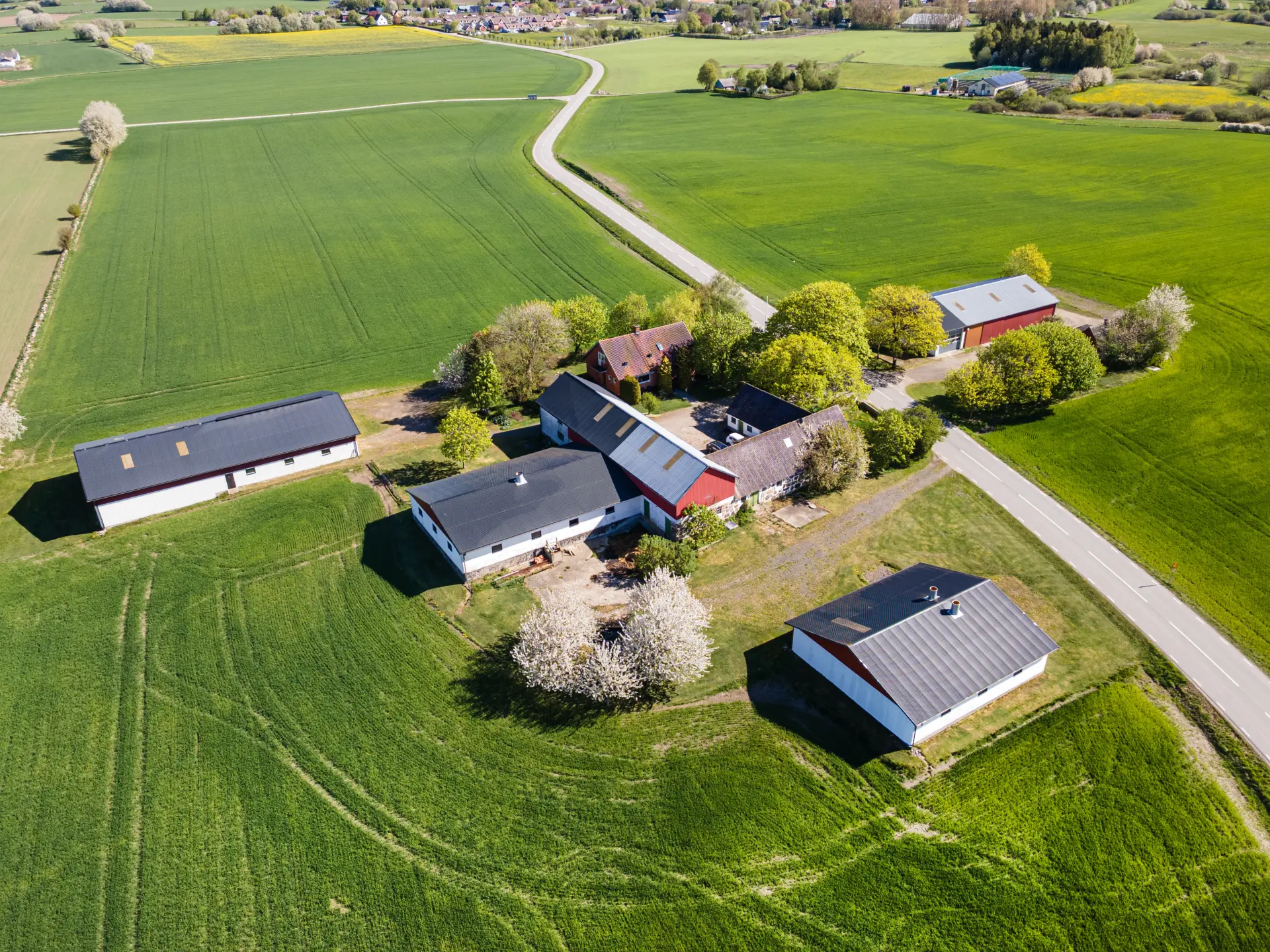 dd4e90a0-502d-11f1-946f-dd2649305cf8.webp