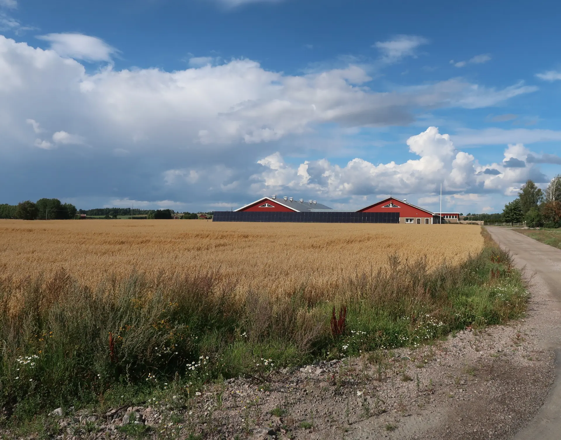 Bild 3 från Skånegårdar