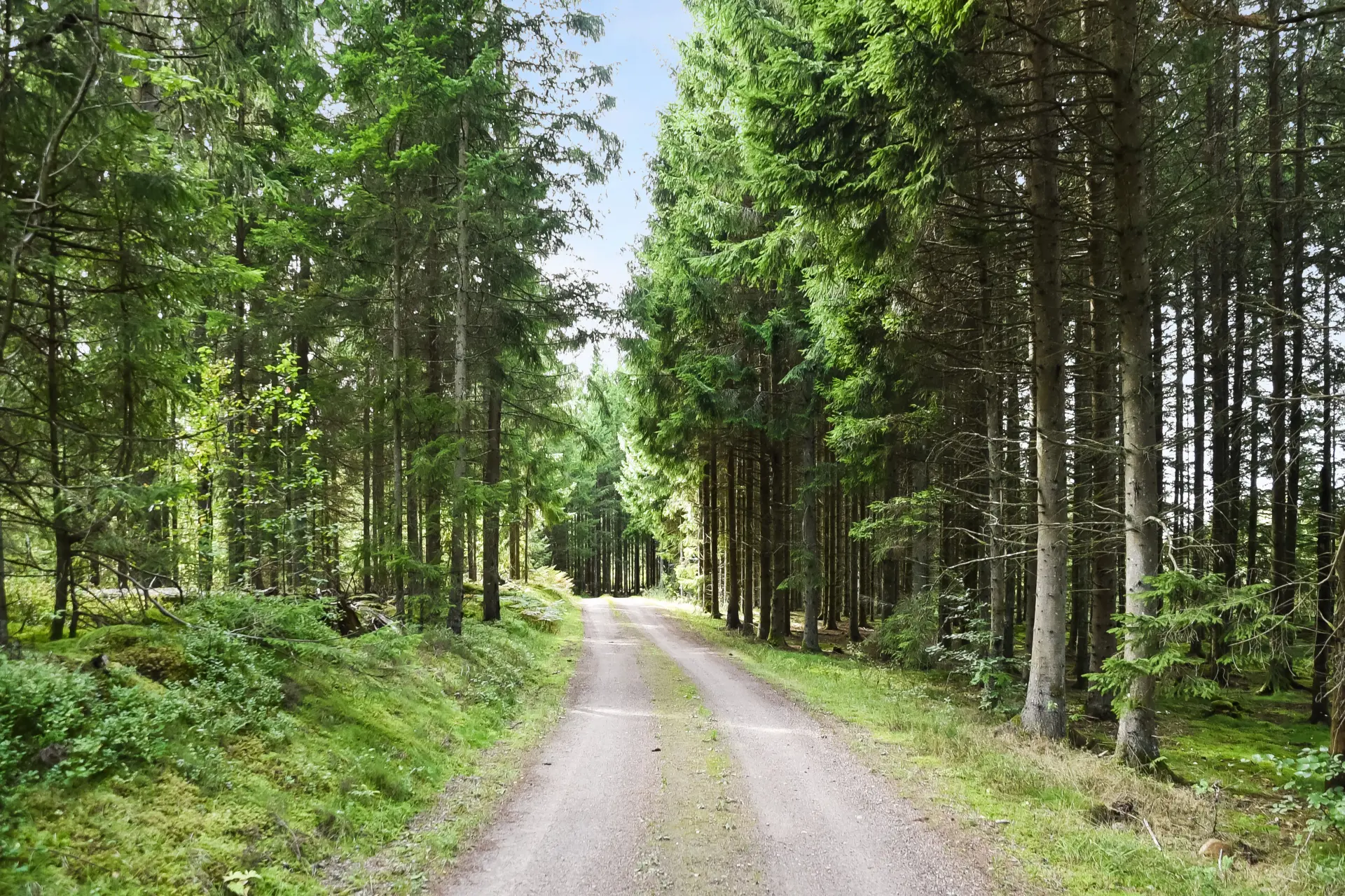 Bild 2 från Skånegårdar