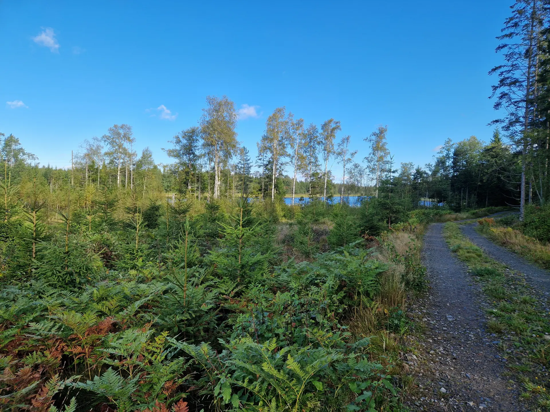 Bild 2 från Skånegårdar