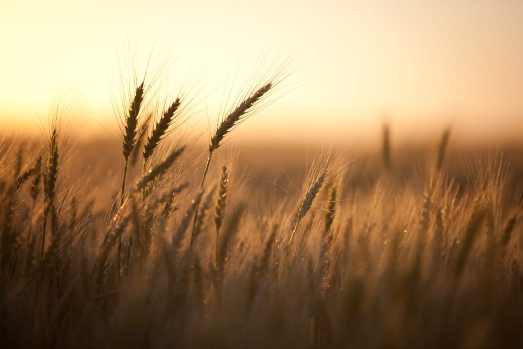 shutterstock 2521084717