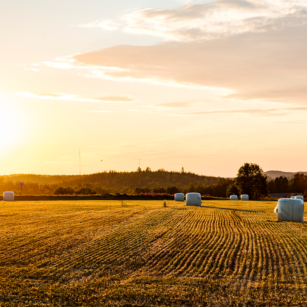 fastighetsratt mobile