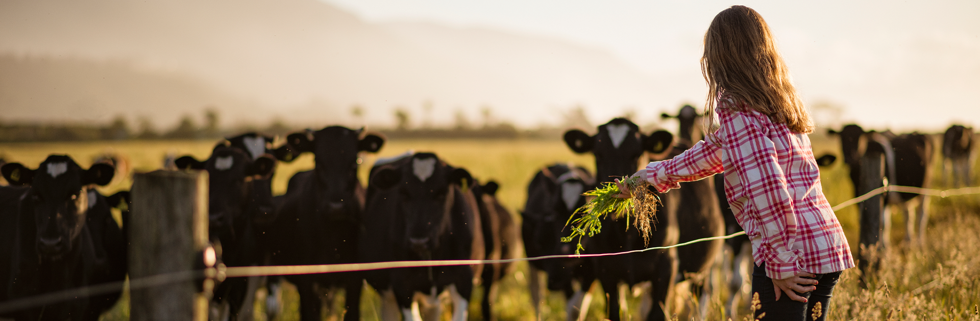 generationsskifte banner