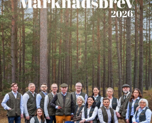 Sidor fran SkG Marknadsbrev 2026 final kompr uppsl.pdf