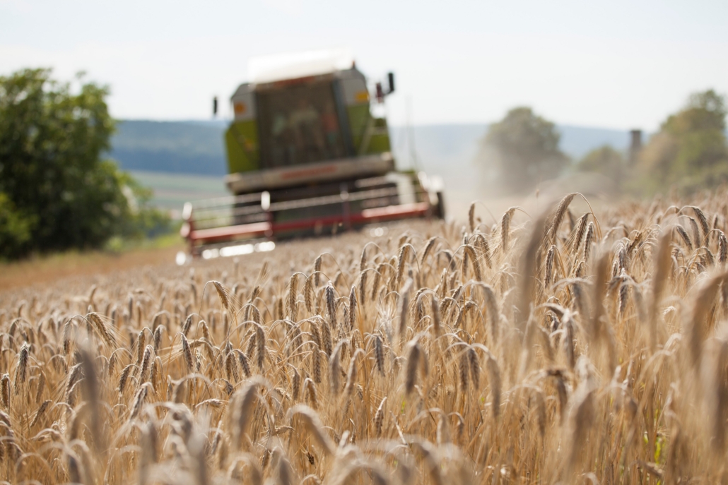 Agriculture Jordbruk