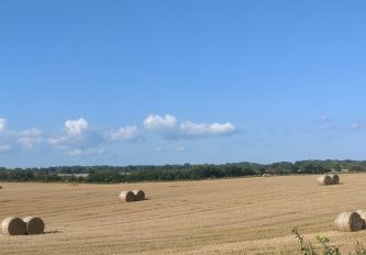 SJÖBO VOLLSJÖ 19:5