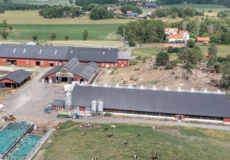 LINKÖPING HÄNNEBJÖRKE 4:1